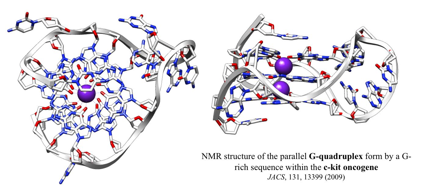 Gquadruplexes Balasubramanian Lab